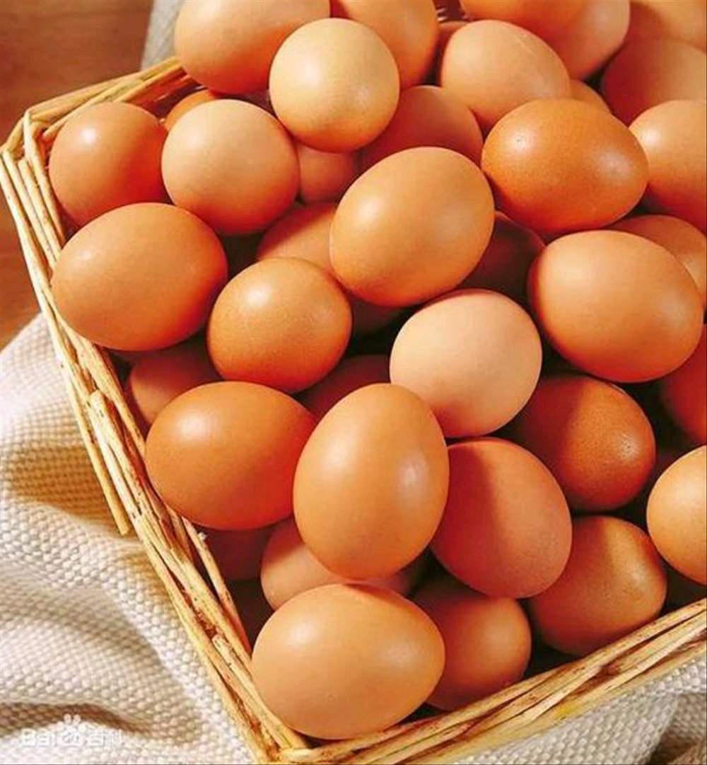 Telur segar